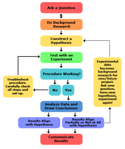 The scientific method: Step 1) Ask a question Step 2) Do background research Step 3) construct a hypothesis Step 4) Procedure working? Yes/No Step 5) If Yes - Analyze data and draw conclusions. If No - Troubleshoot procedure. Carefully check all steps and set-up. then go back to testing (step 4) Step 6) Do results align with hypothesis, do they align partially, or not at all with the hypothesis. If no or partial alignment, then the experimental data becomes background research for new/future project. Ask new question, form new hypothesis, then experiment again. Step 7) Communicate results.